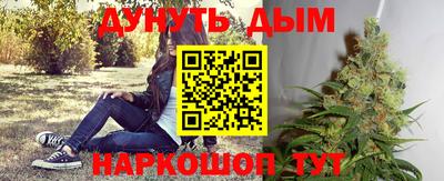 гашик Можайск