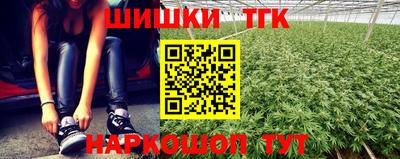 гашик Можайск
