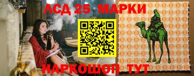 спиды Моздок