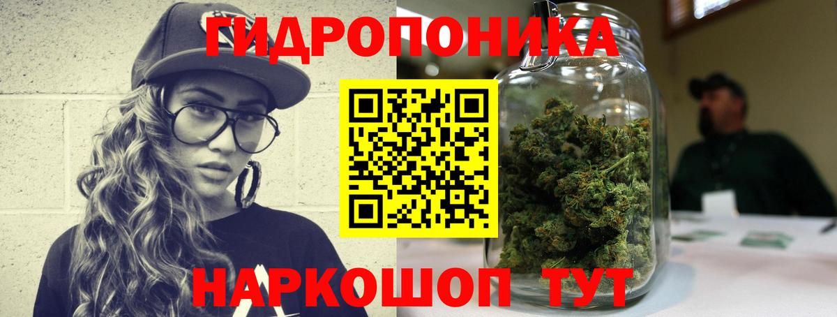 Бошки марихуана OG Kush  Конопля индика  Ртищево  Канабис план  Вход с VPN  Марихуана марихуана 